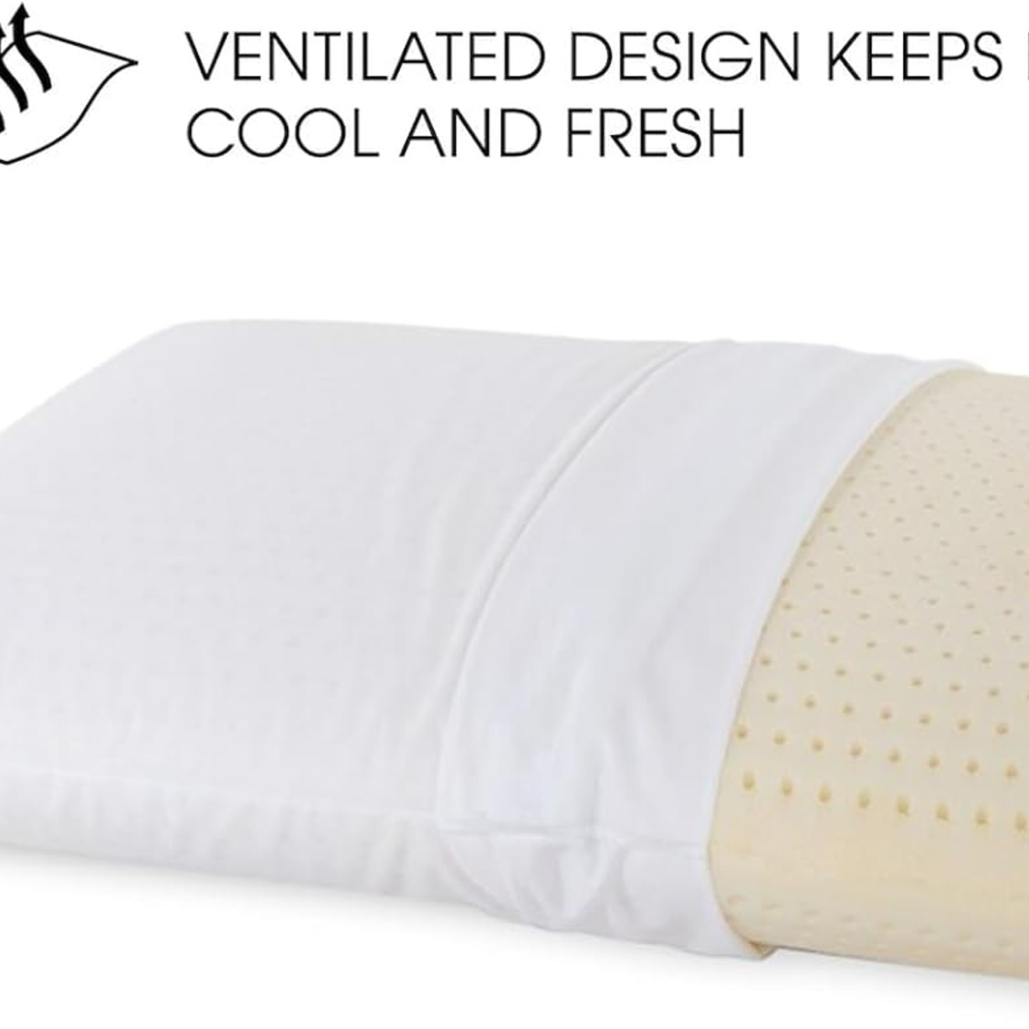 Natural Dunlop Latex Pillow Queen Size — image 9